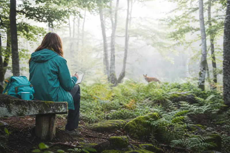 Personne observant un renard en forêt pour explorer son animal totem