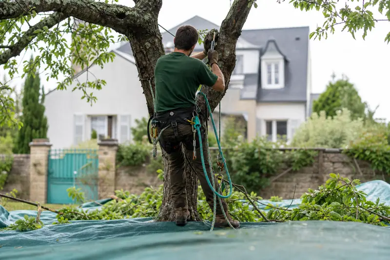 Élagage d’un arbre par un professionnel dans un jardin français.