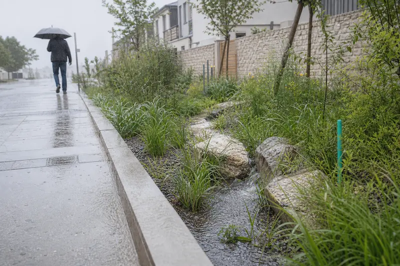 Fortes précipitations ruisselant vers un jardin de pluie en zone résidentielle française