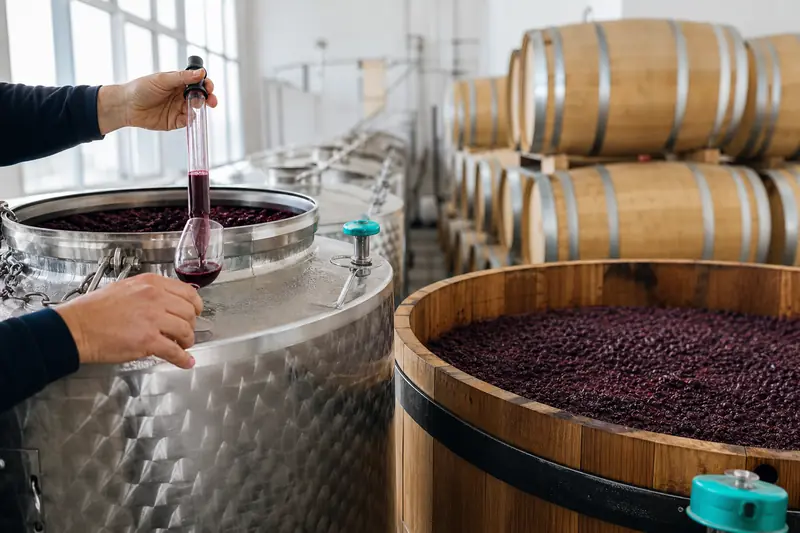Prélèvement de moût rouge dans une cuve lors de la vinification.