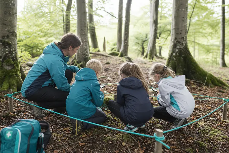 Enfants équipés observent des feuilles lors d’un apprentissage nature en forêt.